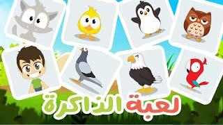 Birds for Kids  Memory Card Game Episode 24  - brain exercise for family with Zakaria