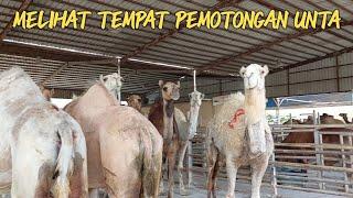 TEMPAT PEMOTONGAN HEWAN UNTA QURBAN