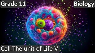 Grade 11  Biology  Cell The unit of Life V   Free Tutorial  CBSE  ICSE  State Board