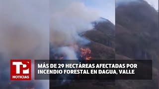 Más de 29 hectáreas afectadas por incendio forestal en Dagua Valle 21.07.2024 TP Noticias