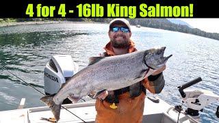 4 for 4 - 16lb King Salmon Alaskan King Salmon Fishing - Juneau Alaska JUNE 2024 #alaska