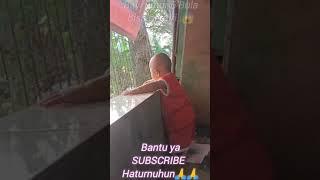 Bayi Umur 6 Bulan bisa berdiri sambil pegangan