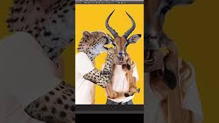 photo manipulation photoshop tutorial for beginners