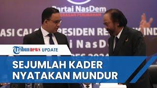 Sejumlah Kader NasDem Mundur dari Partai seusai Anies Diusung Jadi Capres Sudah Diperhitungkan