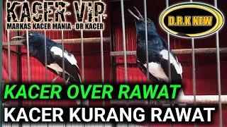 KACER OVER RAWATAN KACER KURANG RAWATAN