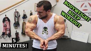 Intense 5 Minute At Home Bicep Workout #2