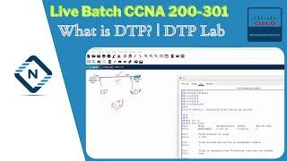 What is DTP?  DTP Lab  CCNA 200-301 v1.1  Networkforyou