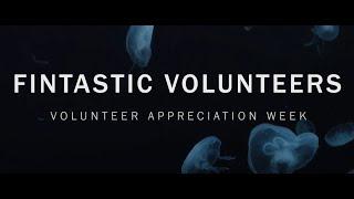 Volunteer Appreciation Week 2023