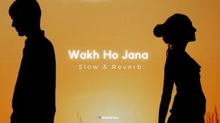 WAKH HO JANA  Gurnam Bhullar Slowed & Reverb