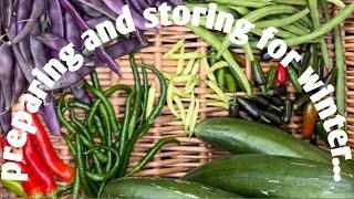 organic vegetables #How to Naturally Preservestore vegetables for winter ️How to save our plants️