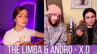 ПЕРЕПЕЛИ The Limba & Andro - X.O. САМЫЕ ЛУЧШИЕ КАВЕРЫ НА The Limba & Andro - X.O cover