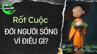 Rốt Cuộc ĐỜI NGƯỜI Sống Vì Điều Gì? Triết Lý Nhân Sinh Nghe Nhiều Nhưng Thấu Được Bao Nhiêu  ND