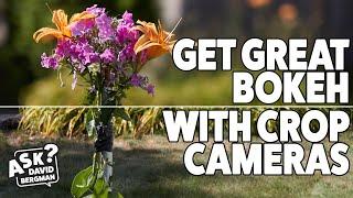 Get Great Bokeh with Crop Cameras Ask David Bergman