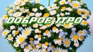 Доброе утро. Желаю  удачи. У тебя  все получится.