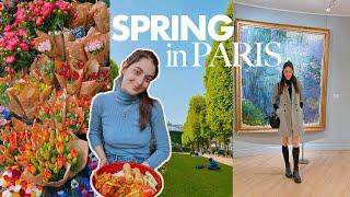 Aesthetic Paris Spring Vlog  Life in Paris France