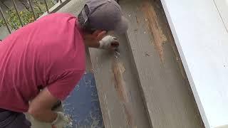 How to Apply Jasco Paint RemoverDry Rot Deck Repairs Made Easy