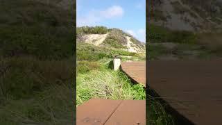 Bunbury Tsunami Evidence at Leschenault Peninsula Western Australia