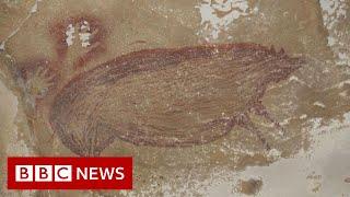 Worlds oldest animal cave painting in Indonesia - BBC News