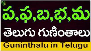 ప ఫ బ భ మ గుణింతాలు  Pa Pha Ba Bha Ma guninthalu How to write Telugu varnamala guninthalu