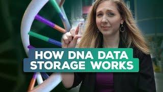 Is synthetic DNA the future of data storage?  Bridget Breaks It Down