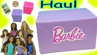 Giant Box of Barbie Dolls Quinceañera Pool Chic Festival + More Haul Video