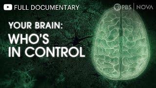 Your Brain Whos in Control?  Full Documentary  NOVA  PBS