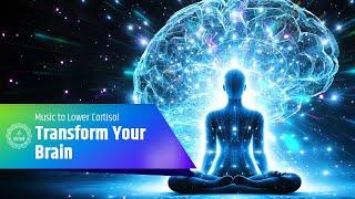 Transform Your Brain Music to Lower Cortisol and Promote Nerve Relaxation  Harness Neuroplasticity