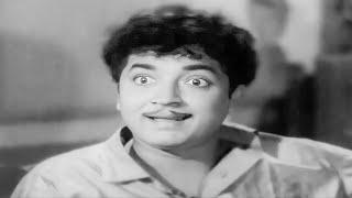 Mayavi  മായാവി  Malayalam Old Movie  Prem Nazir&Madhu  Sheela  K V Shanthi  Evergreen Superhit