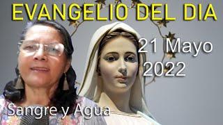 Evangelio Del Dia Hoy - Sabado 21 Mayo 2022- Sangre y Agua