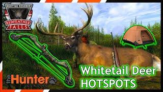 Beginner Guide Whitetail Deer  theHunter Classic