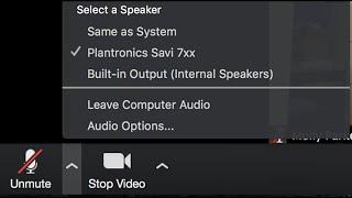 How To Fix Zoom MicrophoneAudio Problems on Windows 10