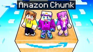 Surviving on ONE AMAZON Chunk in Minecraft