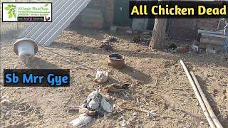 Sb Kuchh Khatam Ho Gya  Desi Chicken Farming  VRG