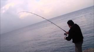 Shore jigging Fishingmania