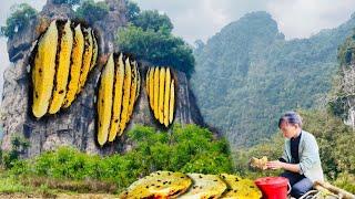 The girl picked wild honey on the cliff and planted banana trees around the garden.