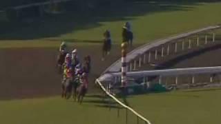 2008 Emirates Airline Breeders Cup Turf