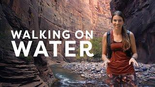 The Narrows BREATHTAKING Walls and Rivers  Zion National Park