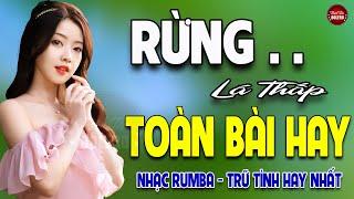 Rừng Lá Thấp Đêm Tiền Đồn  LK Rumba Mai Tiến Đạt  Nhạc Trữ Tình Hay Nhất 2024 ÊM TAI DỄ NGỦ