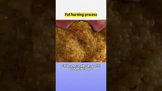 #visceralfat #animation  Fat burning process #wls #weightloss #obesity #weightloss
