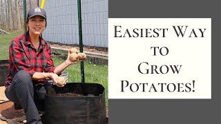 Grow Potatoes in Containers  Easily Grow Potatoes with Limited Space