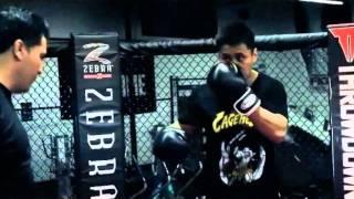 Cung Le Tribute