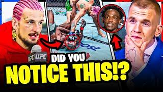 What Really Happened At UFC 292 Sean O Malley Vs Aljamain Sterling Judgement Controversy ROBBED