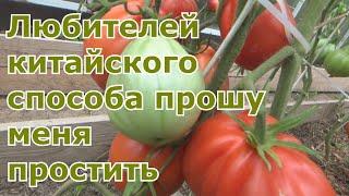 Результаты по китайскому способу выращивания рассады томатов. Повторный эксперимент. Все ЗА и Против
