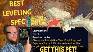 BEST PET and SPEC for Hunter in Phase 4 Level FAST with these Season of Discovery World of Warcraft