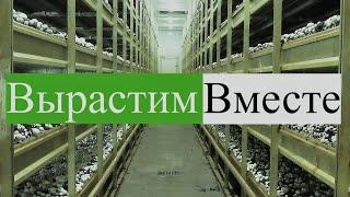 Как понять свой климат и работать на нем эффективно?Основа успешного выращивания шампиньонов.