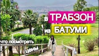 В ТРАБЗОН из БАТУМИ️ Что посмотреть цены?