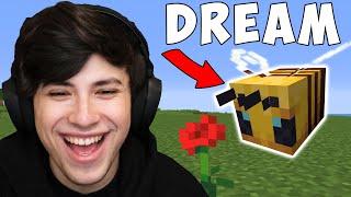 Minecraft But My Friend Is A Bee...