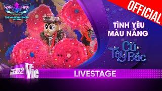 Cú Tây Bắc gây xao xuyến với bản hit Tình Yêu Màu Nắng The Masked Singer Vietnam 2023 LiveStage