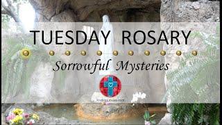 Tuesday Rosary • Sorrowful Mysteries of the Rosary  July 2 2024 VIRTUAL ROSARY - MEDITATION