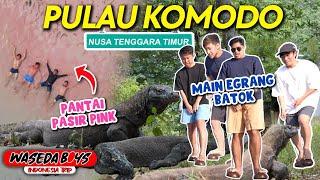 WASEDABOYS EXPLORE NTT PULAU KOMODO PINK BEACH MAIN EGRANG BATOK DLL  INDONESIA TRIP